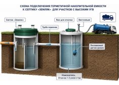 Спарта 1000 Eco